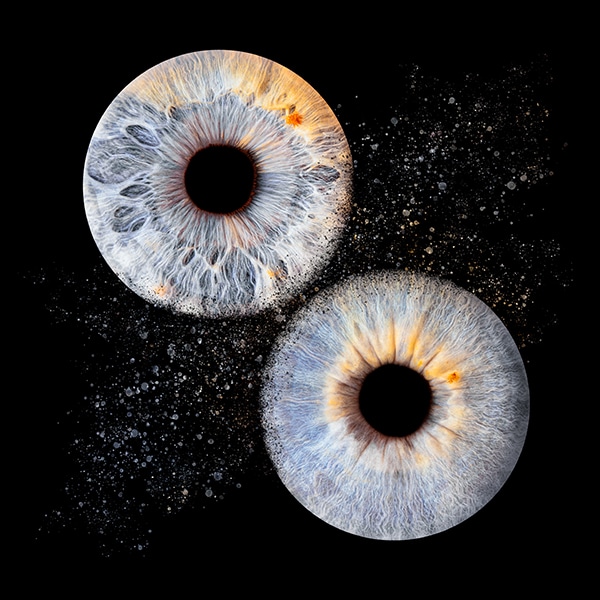 tableau deu deux iris bleu en explosion roxane hennequin photographe